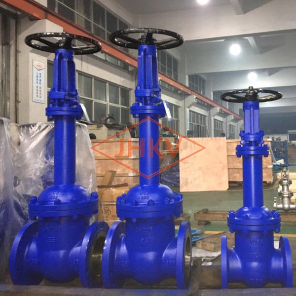 bellows gate valve