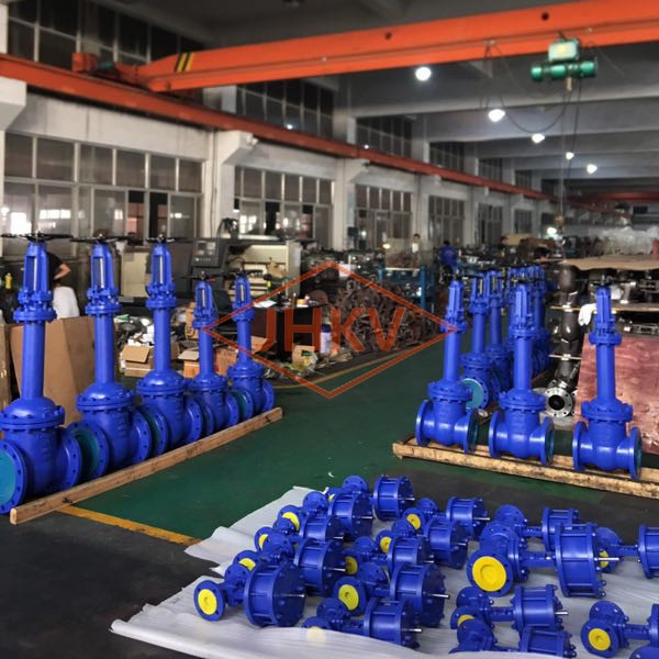 bellows gate valve
