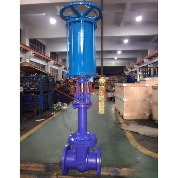 Pneumatic bellows gate valve