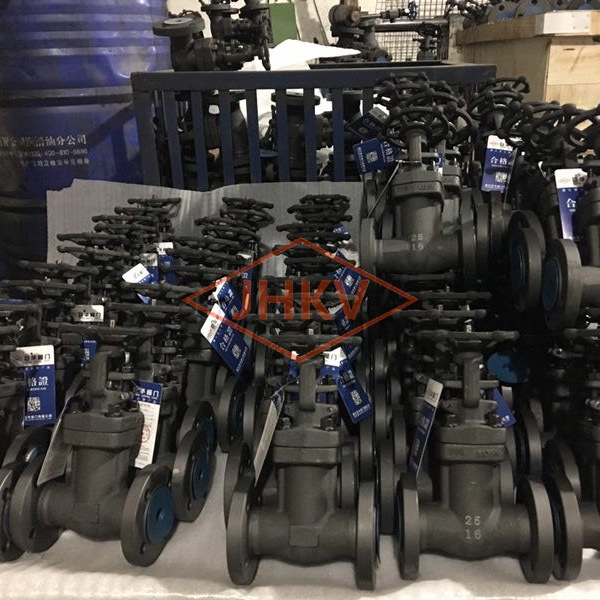 Forged steel bellows globe valve