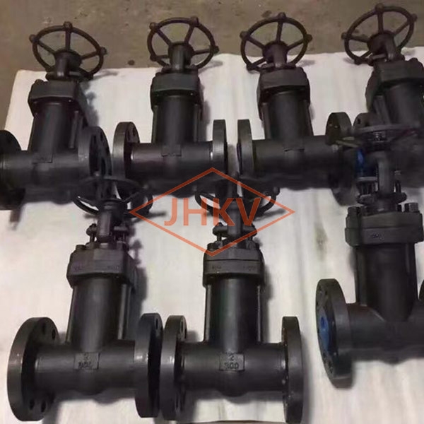 Forged steel bellows globe valve
