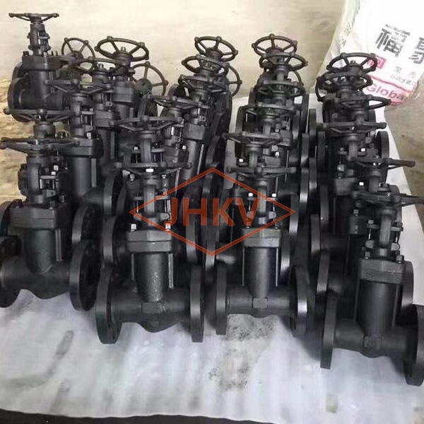 Forged steel bellows globe valve