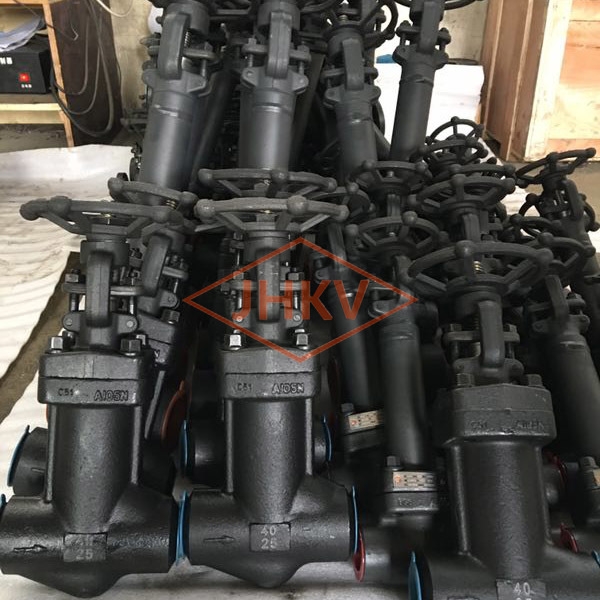 Forged steel bellows globe valve
