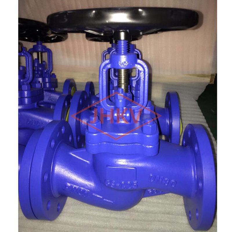 DIN Globe Valve